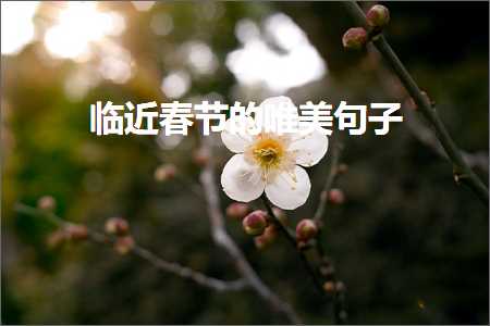 临近春节的唯美句子（文案116条）